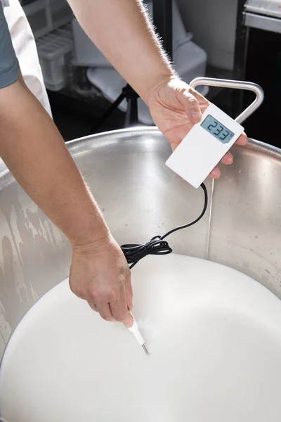 Queijeiro mede a temperatura do leite com um electro — Fotografia de Stock