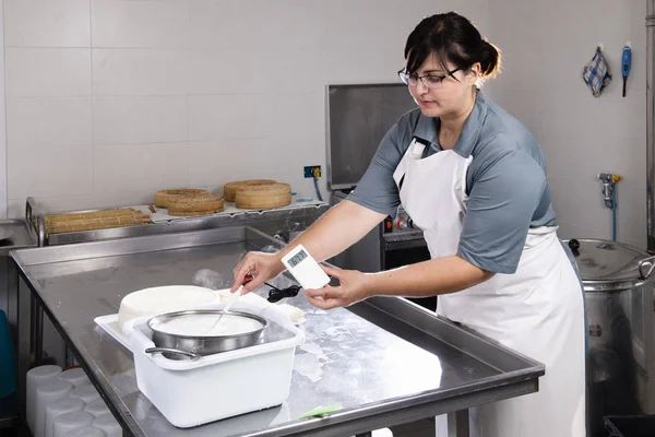 Cheesemaker measures the temperature of the milk with an electro — Stock Photo, Image