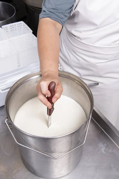 Cheesemaker cuts curdled milk — Stock Photo, Image