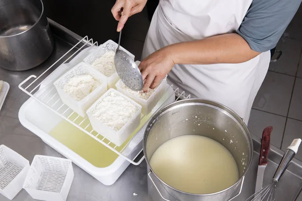 Cheesemaker pours the curdled milk into the plastic forms — Stock Photo, Image