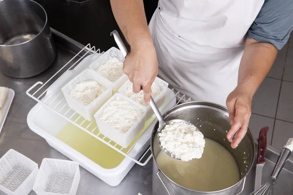 Cheesemaker vierte la leche cuajada en las formas plásticas — Foto de Stock