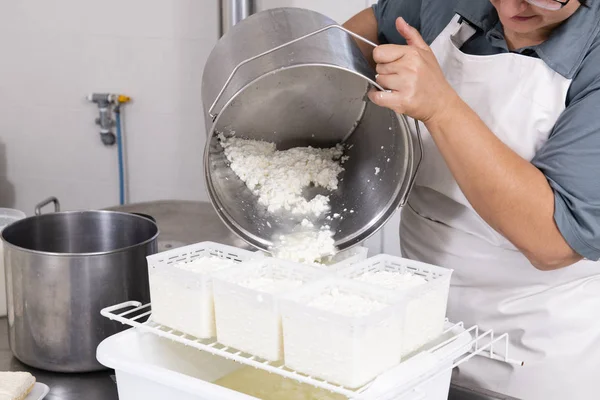 Cheesemaker pours the curdled milk into the plastic forms — Stock Photo, Image