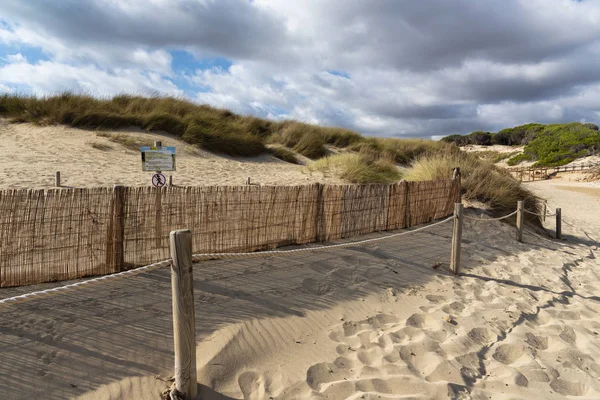 Sign prohibiting access to the regeneration sand dune reserve — Stock Photo, Image