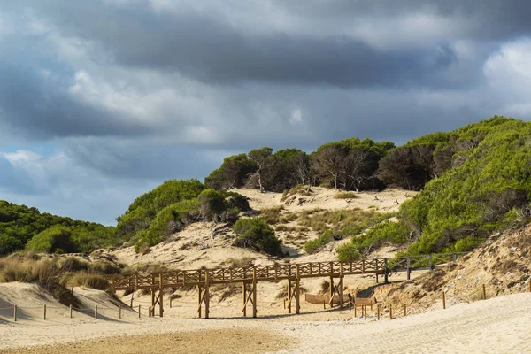 Sanddünenregenerationsreservat am Strand von Cala Mesquida maj — Stockfoto