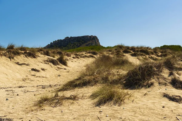 Sanddünenregenerationsreservat am Strand von Cala Mesquida maj — Stockfoto