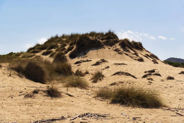 Sanddünenregenerationsreservat am Strand von Cala Mesquida maj — Stockfoto