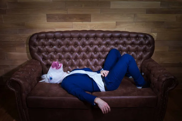 Divertente unicorno in abito elegante si trova sul divano — Foto Stock