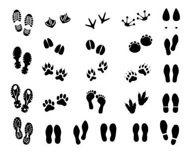 Footprint set vector collection clipart