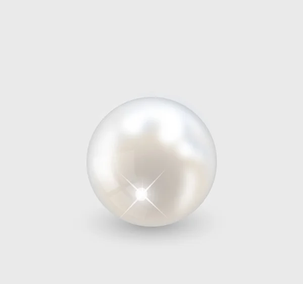 Schöne Realistische Perle Set Illustration Vektor — Stockvektor