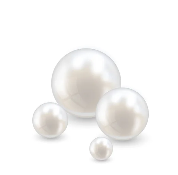 美しいリアルな真珠セット イラスト — ストックベクタ