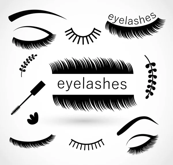 Eyelashes Vector Illustration Beauty — Stock Vector