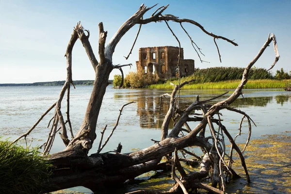 The ruins of flooded St. Elijah church in Ukraine on the Dnipro river. Fallen dry tree on the foreground.