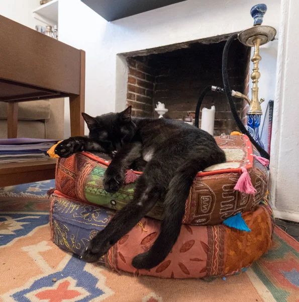 Gato Negro Descansando Sus Cojines Para Una Pequeña Siesta — Foto de Stock