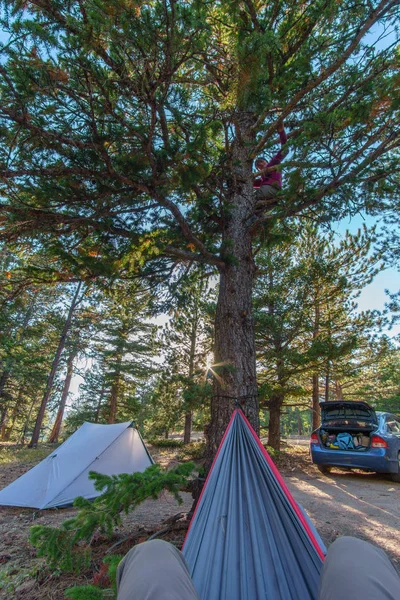 Camping Roosevelt National Forest Justo Sur Del Parque Nacional Las — Foto de Stock