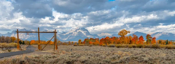 Fogliame Autunnale Nel Grand Tetons National Park Wyoming — Foto Stock