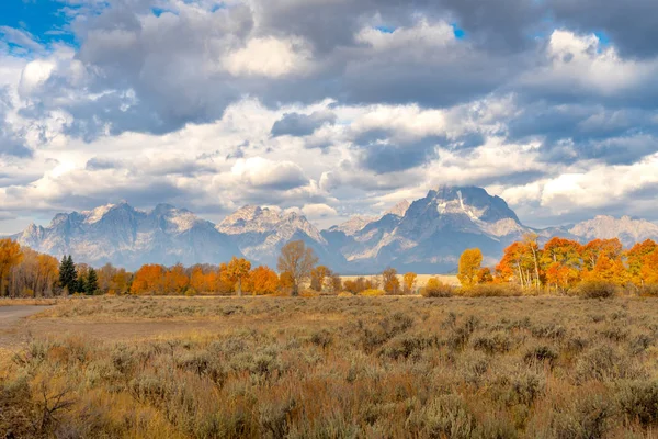 Folhagem Outono Parque Nacional Grand Tetons Wyoming — Fotografia de Stock