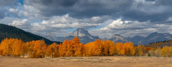 Fogliame Autunnale Nel Grand Tetons National Park Wyoming — Foto Stock