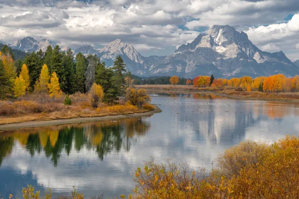 Feuillage Automne Dans Parc National Des Grands Tétons Wyoming — Photo