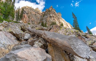 Hiking Garnet Kanyon Trail zammı Grand Tetons Milli Parkı Wyoming ABD