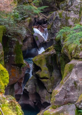 Çığ Gölü döngü buzul Milli Parkı Montana