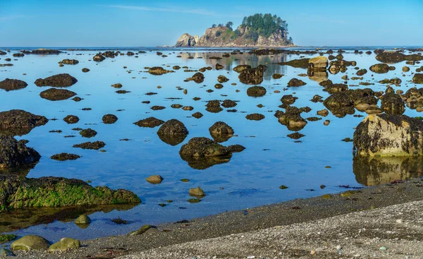 Ozette Look Trail Washington Pacífico Noroeste Parque Nacional Olímpico — Foto de Stock