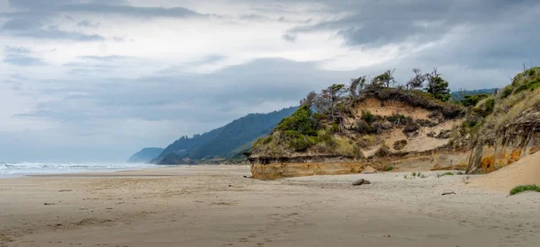 Oregon Coast Trail Noroeste Del Pacífico Durante Octubre — Foto de Stock