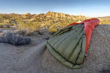 Joshua Tree National Park Güney Doğu California Kasım
