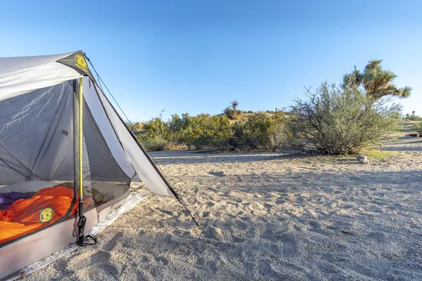 Joshua Tree National Park Södra Östra Kalifornien November — Stockfoto