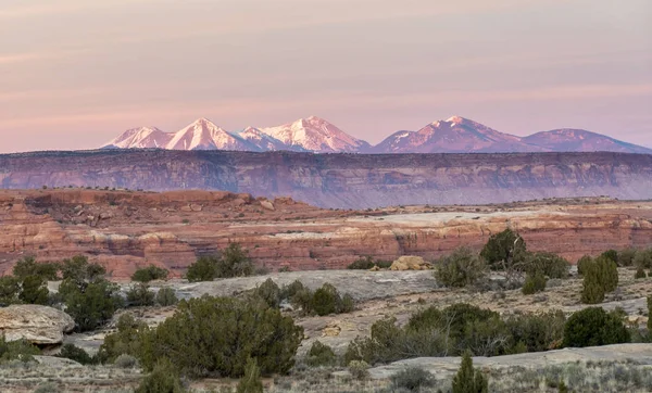 Visita Parque Nacional Canyonlands Sudeste Utah Estados Unidos — Fotografia de Stock