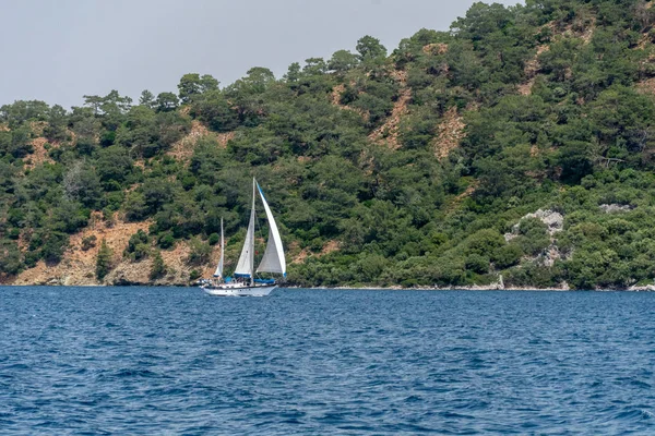 Segelbåt på blått hav med träd — Stockfoto