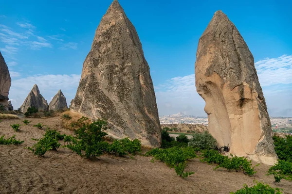 Rose Valley, Cappadocia with Uchisar castle in the background
