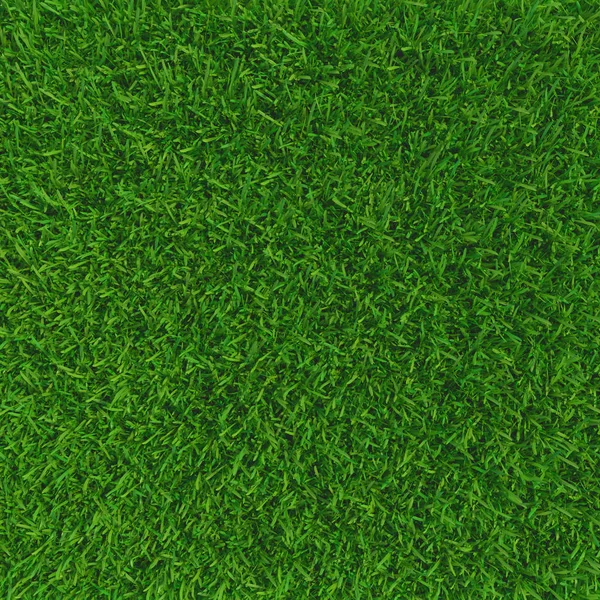 Green grass. background texture. fresh spring green grass. 3d rendering.