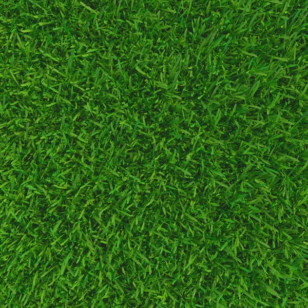 Green grass. background texture. fresh spring green grass. 3d rendering.