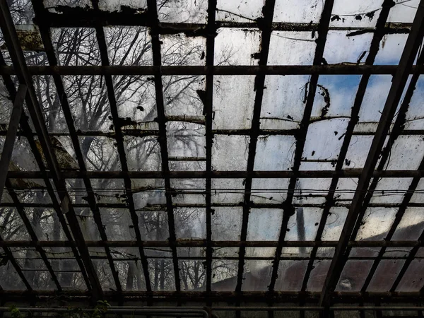 Dirty roof of the old greenhouse. The warm room for cultivation of plants