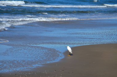 Atlantik Okyanusu, Rio Grande do Sul, Brezilya