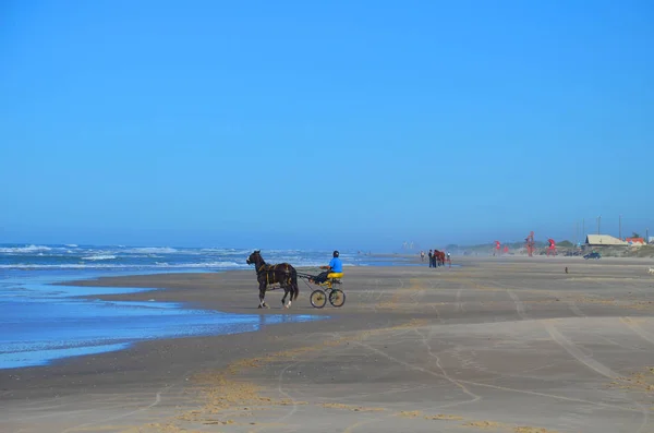 Cavalos Pessoas Praia Oceano Atlântico Rio Grande Sul Brasil — Fotografia de Stock