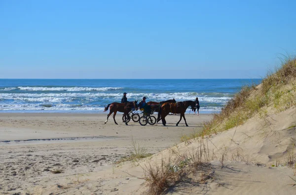Cavalos Pessoas Praia Oceano Atlântico Rio Grande Sul Brasil — Fotografia de Stock