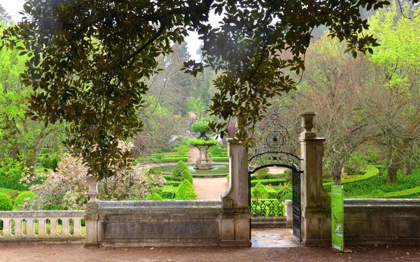 Coimbra Portugal Jardín Botánico Universidad Coimbra —  Fotos de Stock