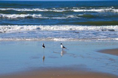Atlantik Okyanusu, Rio Grande do Sul, Brezilya