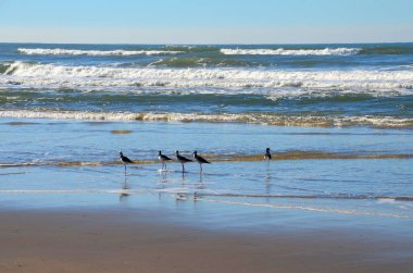 Atlantik Okyanusu, Rio Grande do Sul, Brezilya