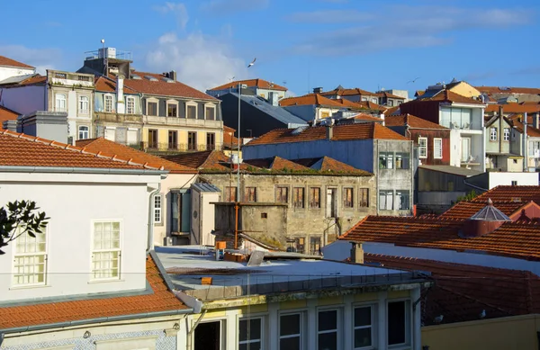 Çatı Aliados Porto Portekiz Avenue Yanında Şehrin Ortasındaki Görünümünü — Stok fotoğraf