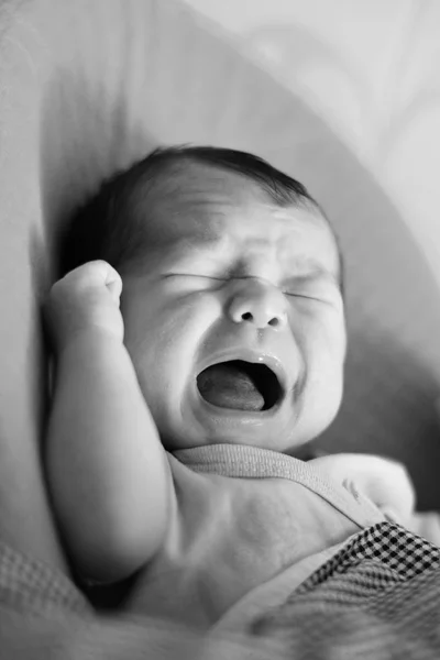 Bebé Dos Semanas Llora —  Fotos de Stock