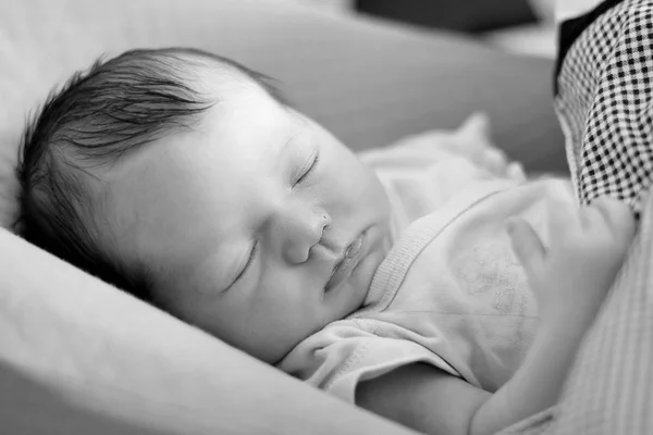 Recién Nacido Dos Semanas Está Durmiendo Dulcemente —  Fotos de Stock