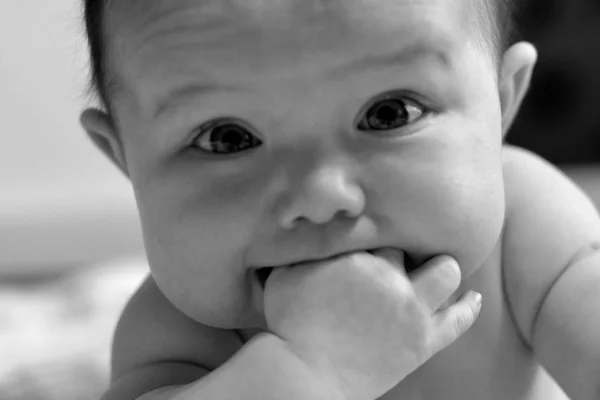 新生児 不完全な ヶ月の肖像画 — ストック写真