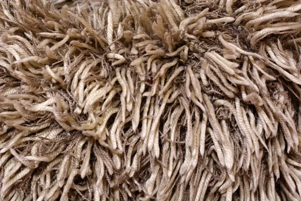 beige long carpet pile