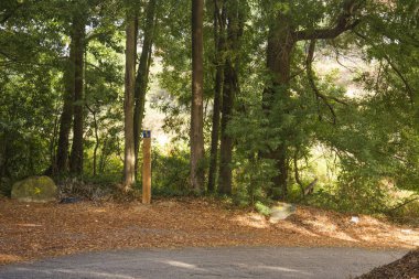 İspanyol manzara bulunan Galiçya, İspanya, Santiago de Compostela yolu