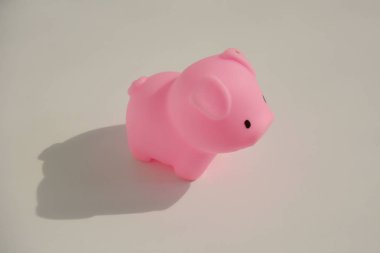 çocuk oyuncak - kauçuk pembe domuz