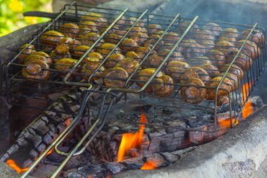 Izgarada nefis şampiyonlar. Doğada piknik..