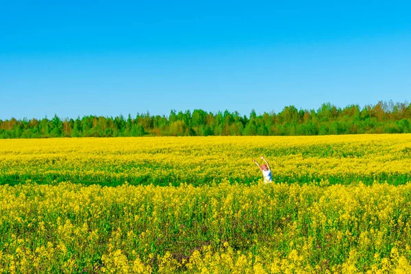 Increíble Brillante Paisaje Colorido Primavera Verano Para Fondo Pantalla Campo — Foto de Stock