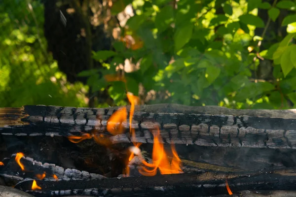 Vuurvlam Natuur Bbq Voorbereiding Picknick Natuur — Stockfoto